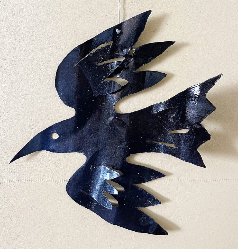 New Mexico Cancer Center, Gallery With A Cause, Raven