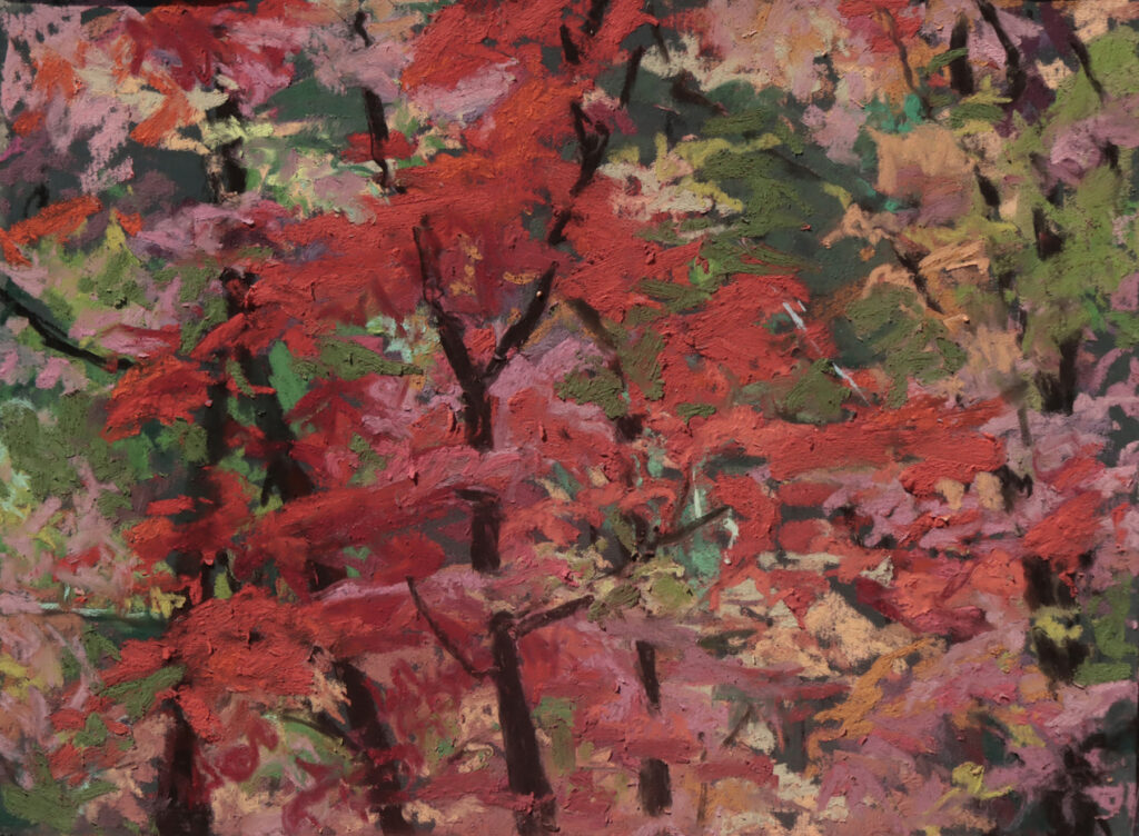 New Mexico Cancer Center, Gallery With A Cause, Red Tree I