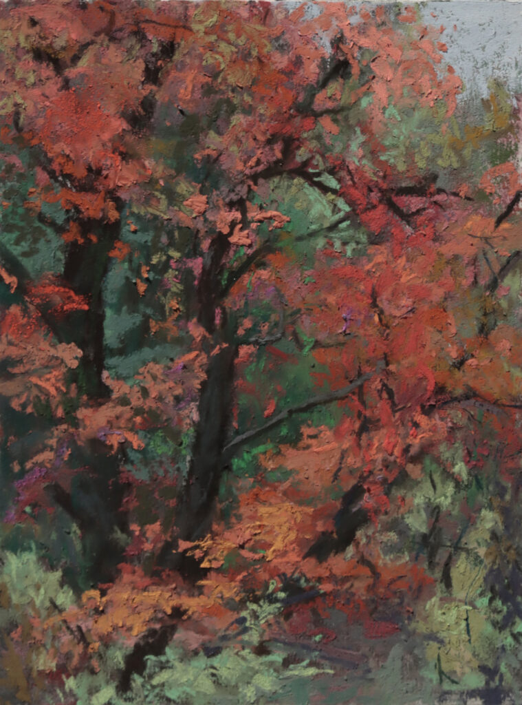 New Mexico Cancer Center, Gallery With A Cause, Red Tree II