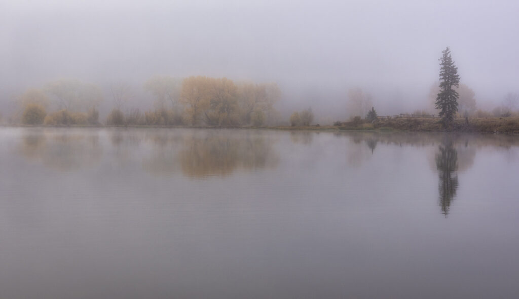 New Mexico Cancer Center, Gallery With A Cause, Serenity