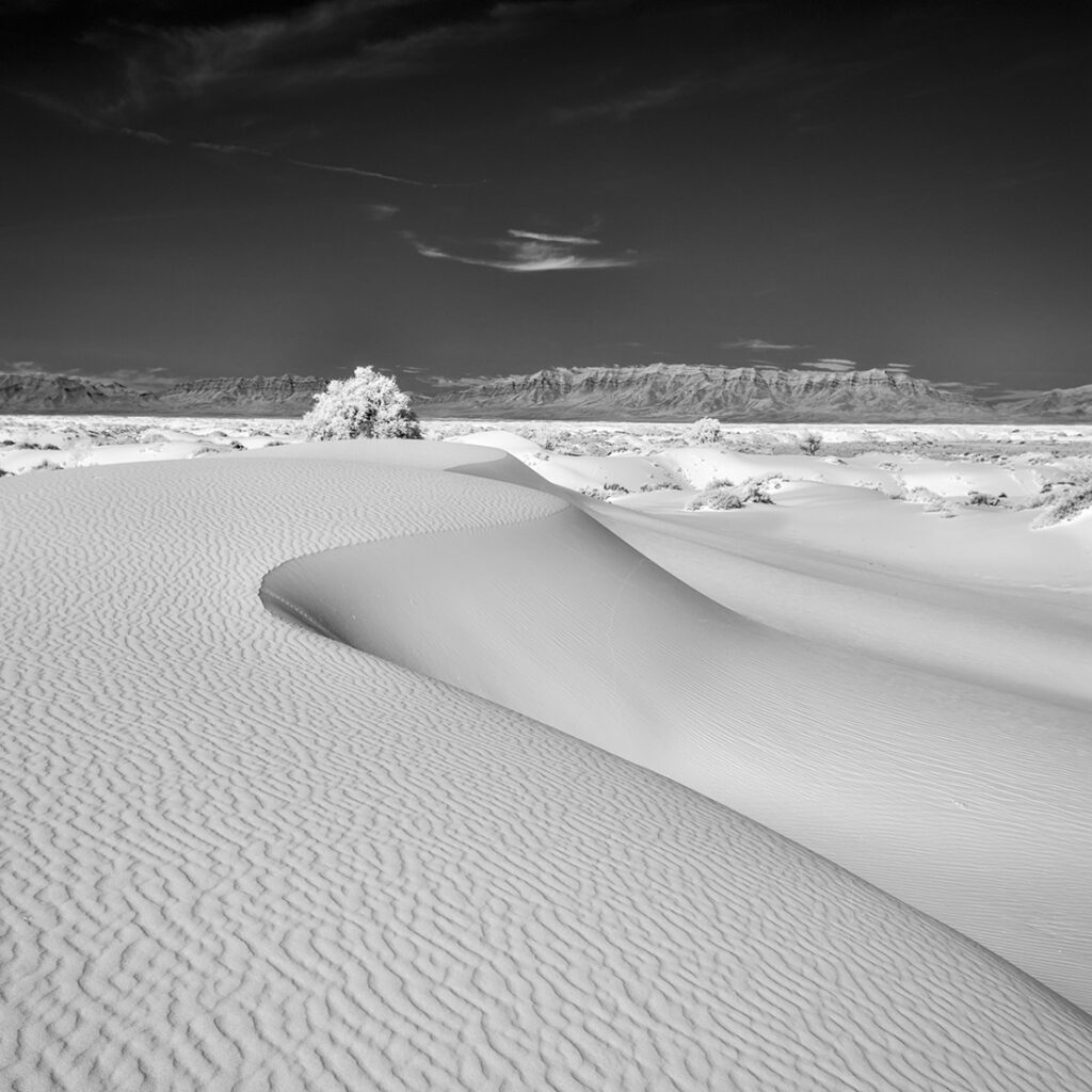 New Mexico Cancer Center, Gallery With A Cause, Song of the Sands III