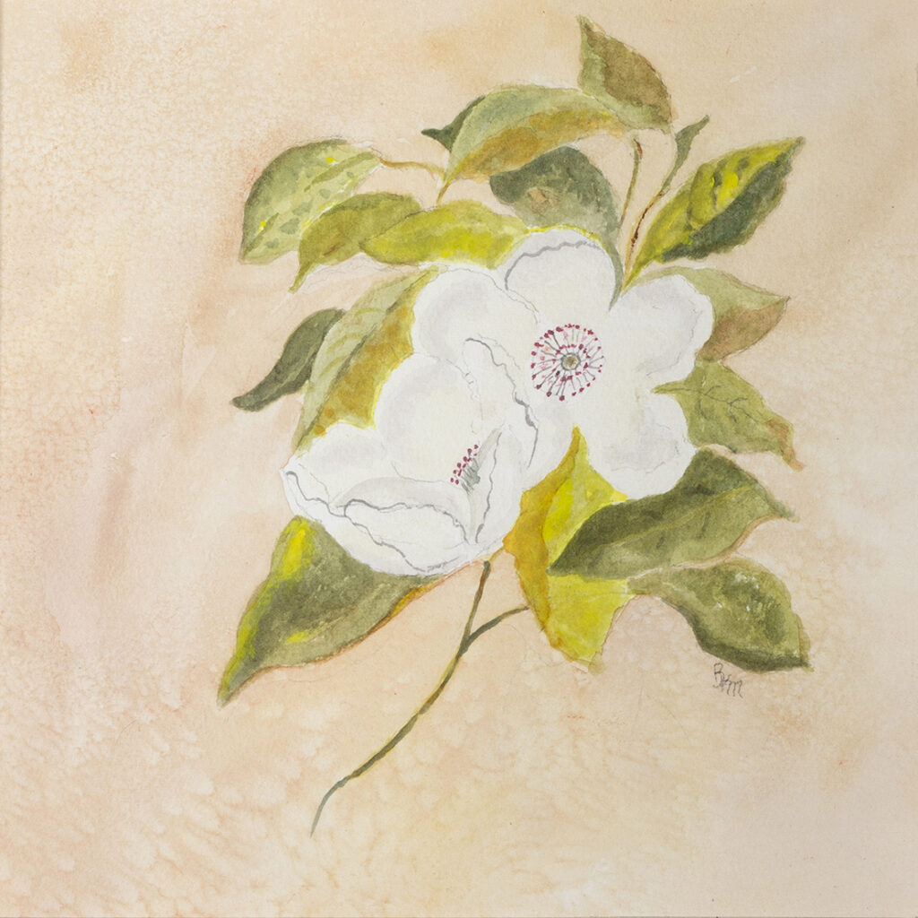 New Mexico Cancer Center, Gallery With A Cause, Sublime