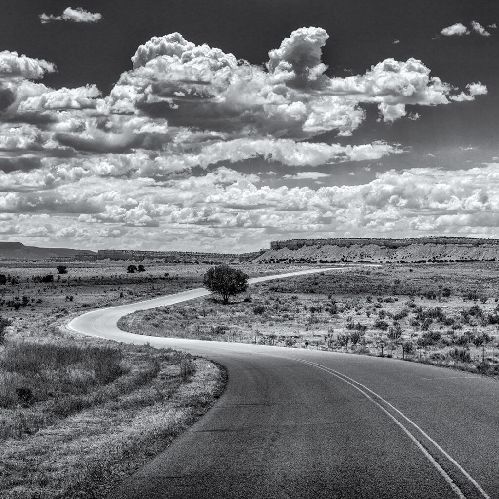 New Mexico Cancer Center, Gallery With A Cause, Trail of the Ancients