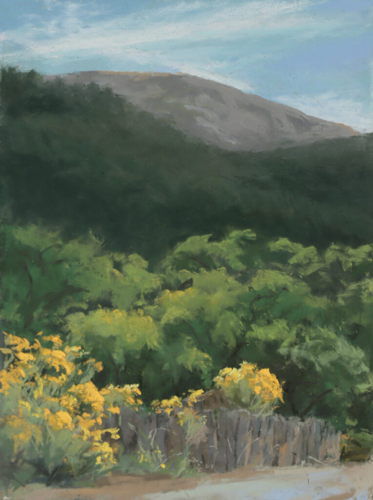 New Mexico Cancer Center, Gallery With A Cause, Valdez Morning