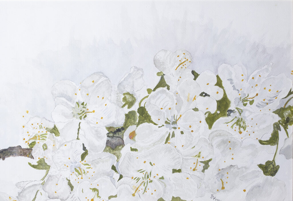New Mexico Cancer Center, Gallery With A Cause, White Floral