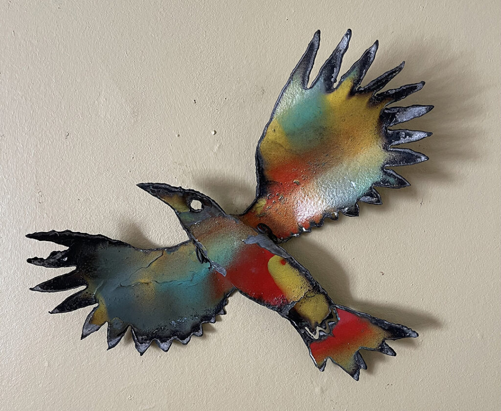 New Mexico Cancer Center, Gallery With A Cause, Color Flight