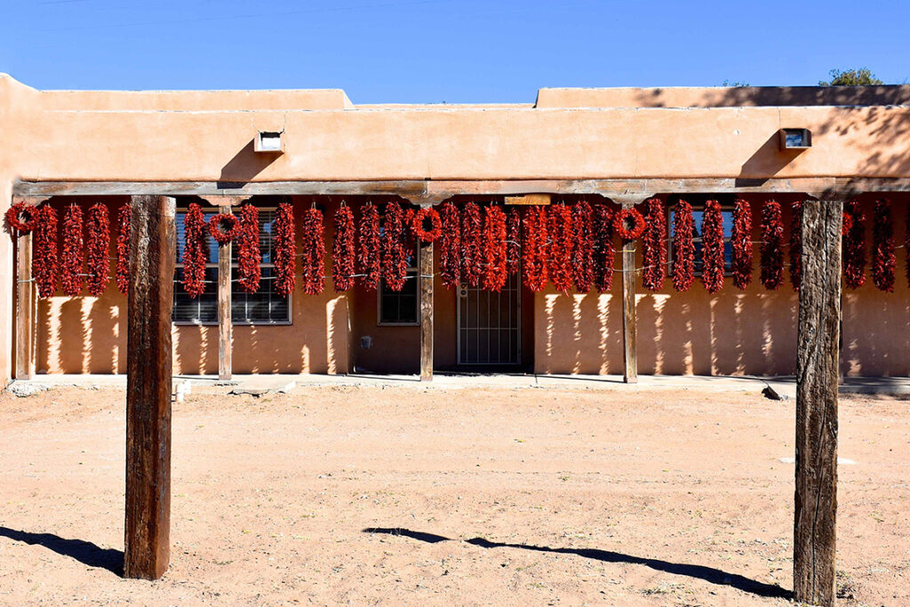 New Mexico Cancer Center, Gallery With A Cause, Adobe Ristras