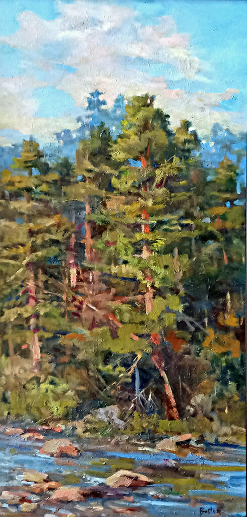 New Mexico Cancer Center, Gallery With A Cause, Along Red River