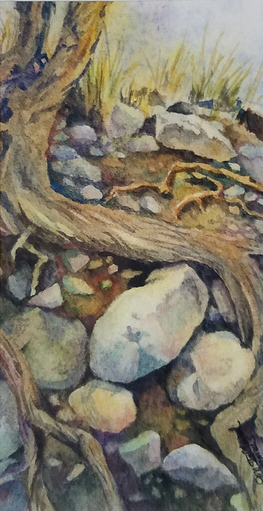 New Mexico Cancer Center, Gallery With A Cause, Connected