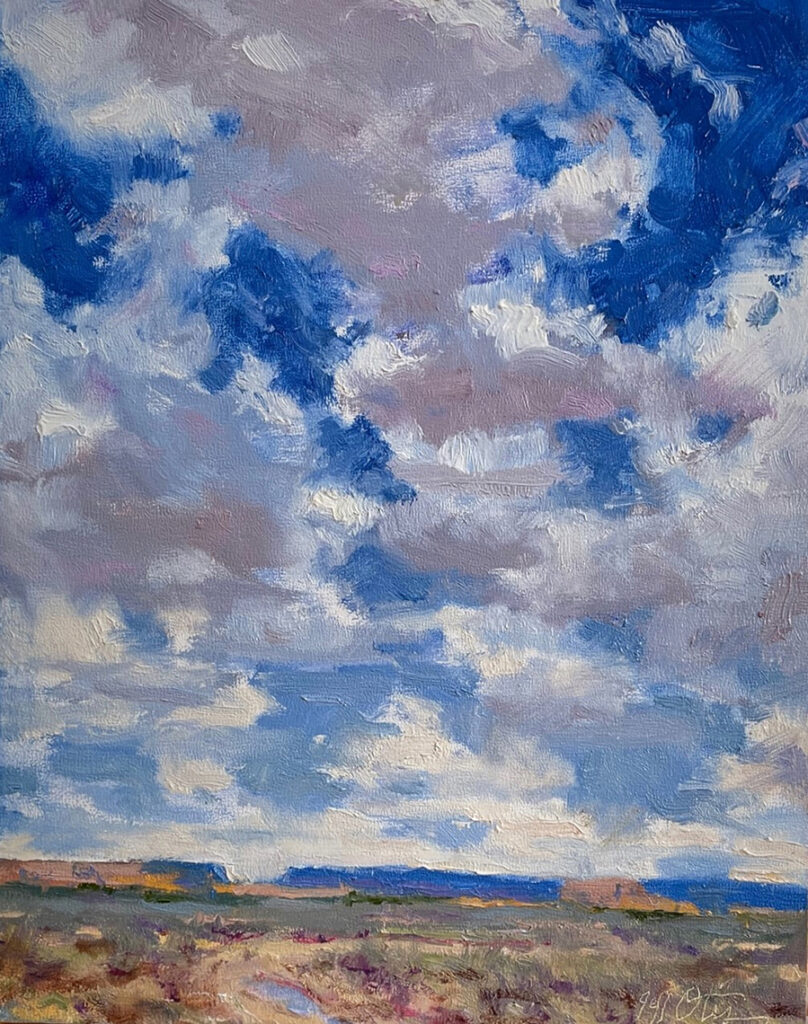 New Mexico Cancer Center, Gallery With A Cause, Desert Sky