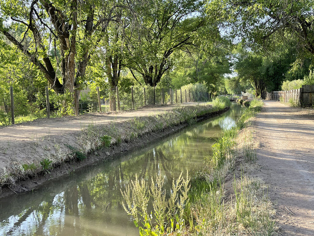 New Mexico Cancer Center, Gallery With A Cause, Ditch in Spring