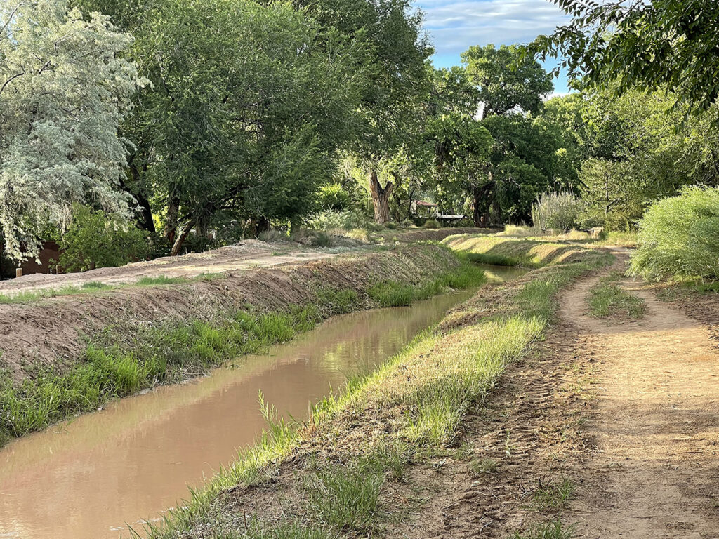 New Mexico Cancer Center, Gallery With A Cause, Ditch in Spring 2