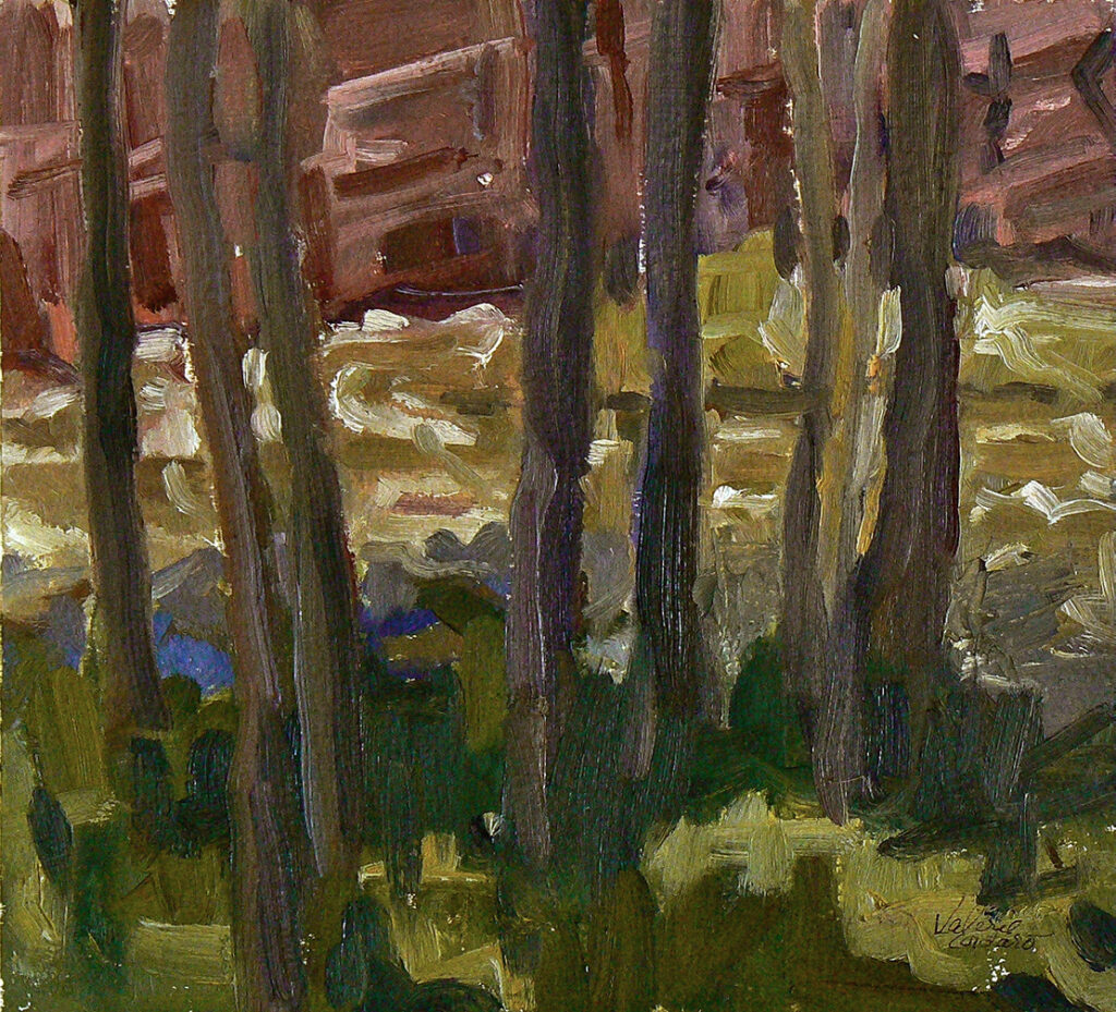 New Mexico Cancer Center, Gallery With A Cause, Dolores Creek, Spring Runoff