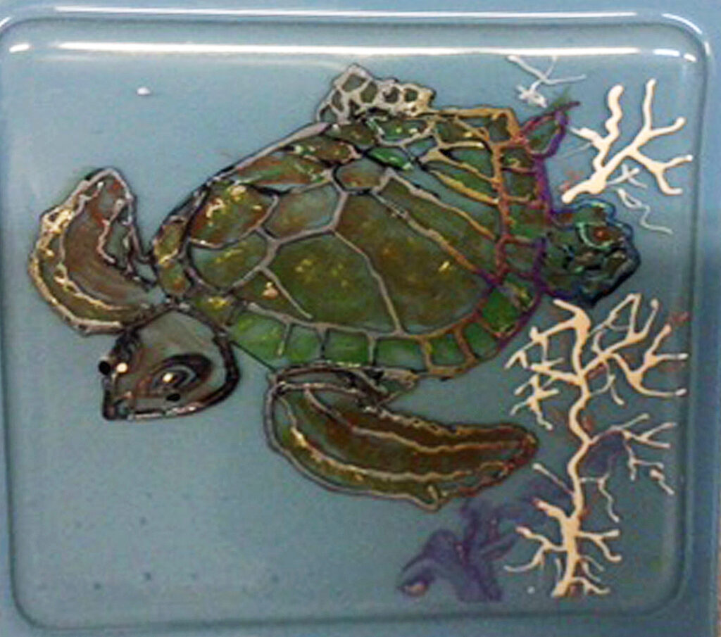 New Mexico Cancer Center, Gallery With A Cause, Hand Painted Turtle 4