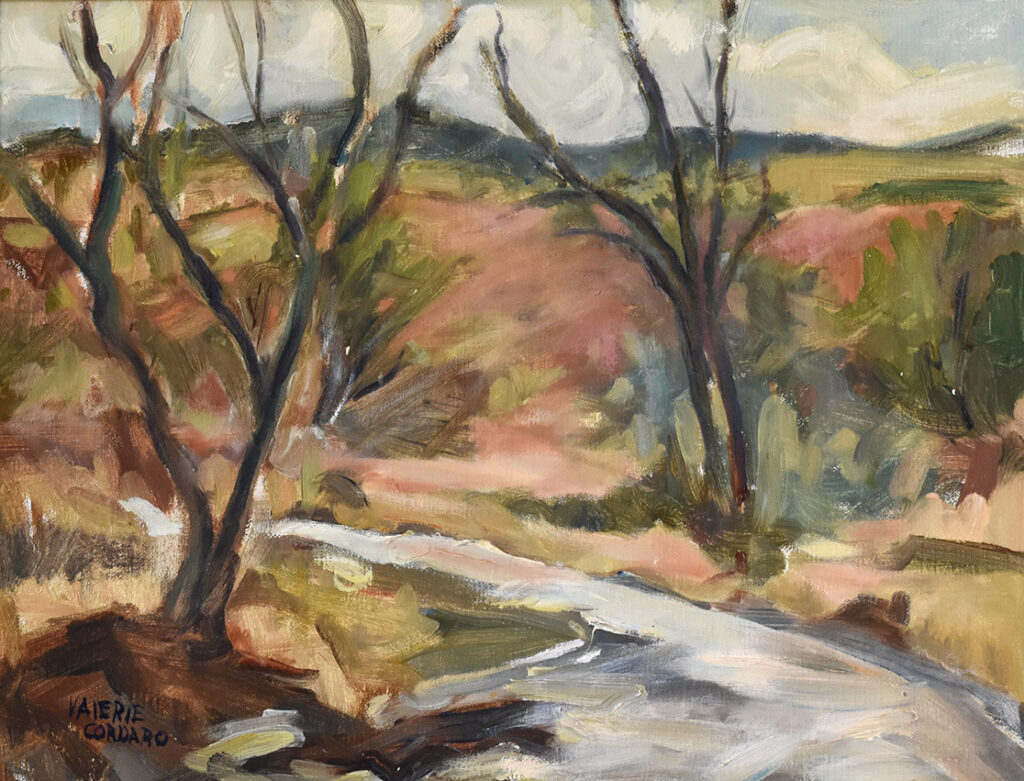 New Mexico Cancer Center, Gallery With A Cause, January in Jemez