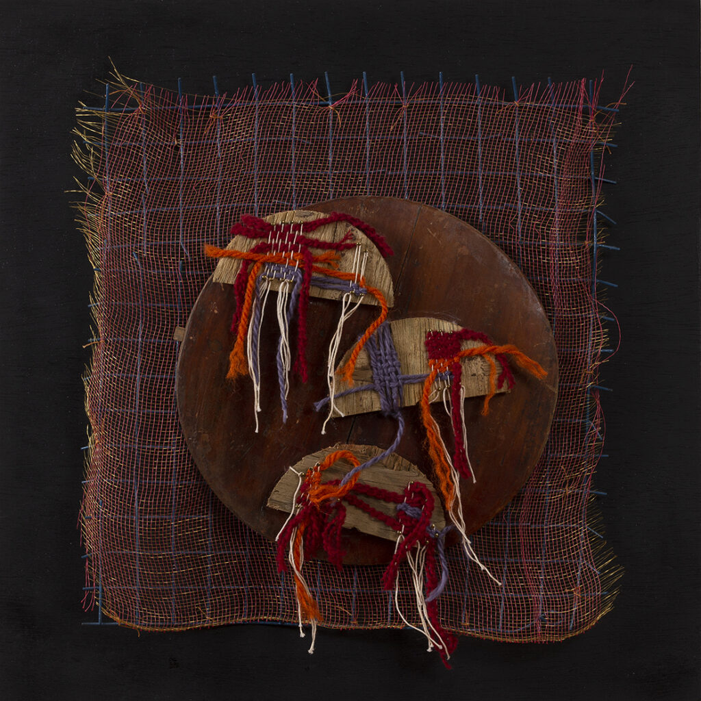 New Mexico Cancer Center, Gallery With A Cause, Jellies 2