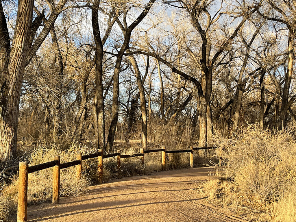 New Mexico Cancer Center, Gallery With A Cause, Last Light 2