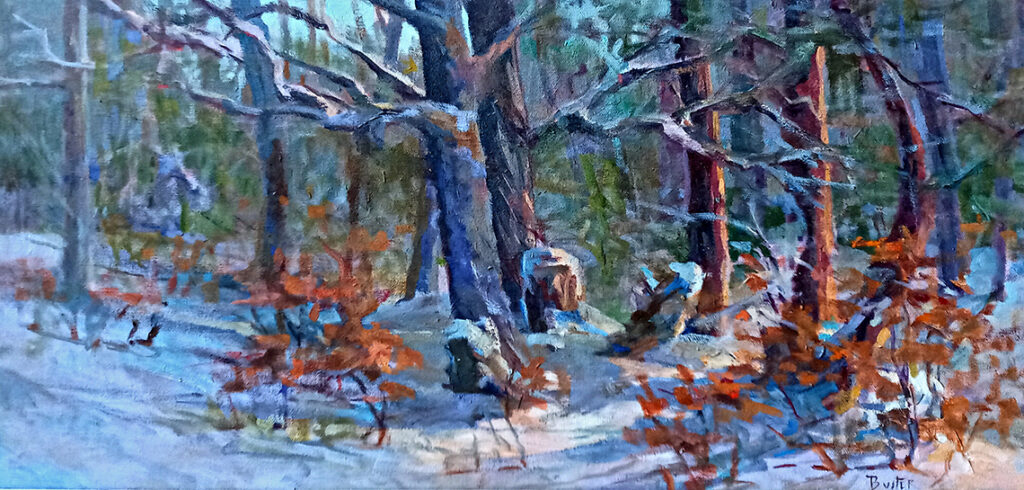 New Mexico Cancer Center, Gallery With A Cause, New Snow