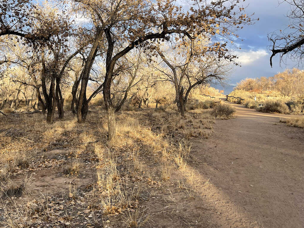 New Mexico Cancer Center, Gallery With A Cause, Off the Beaten Path