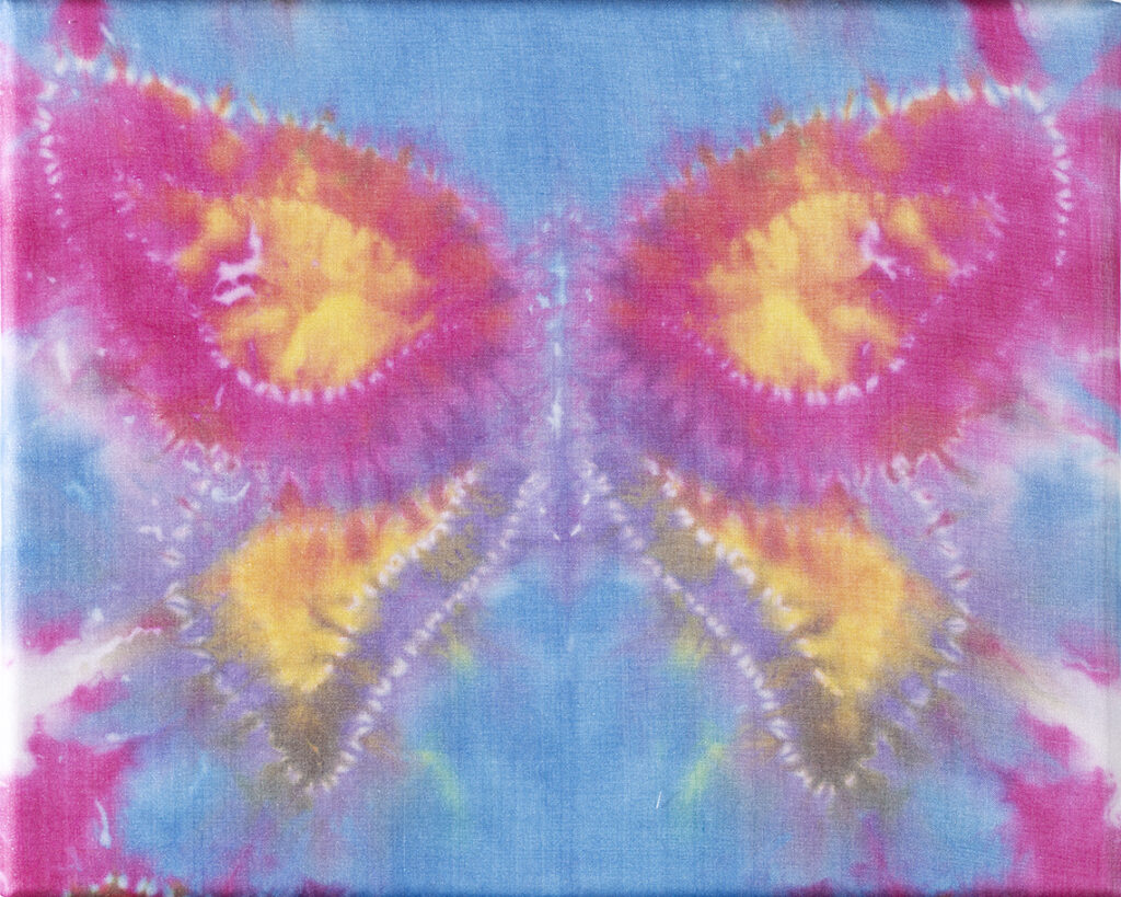 New Mexico Cancer Center, Gallery With A Cause, On the Wing