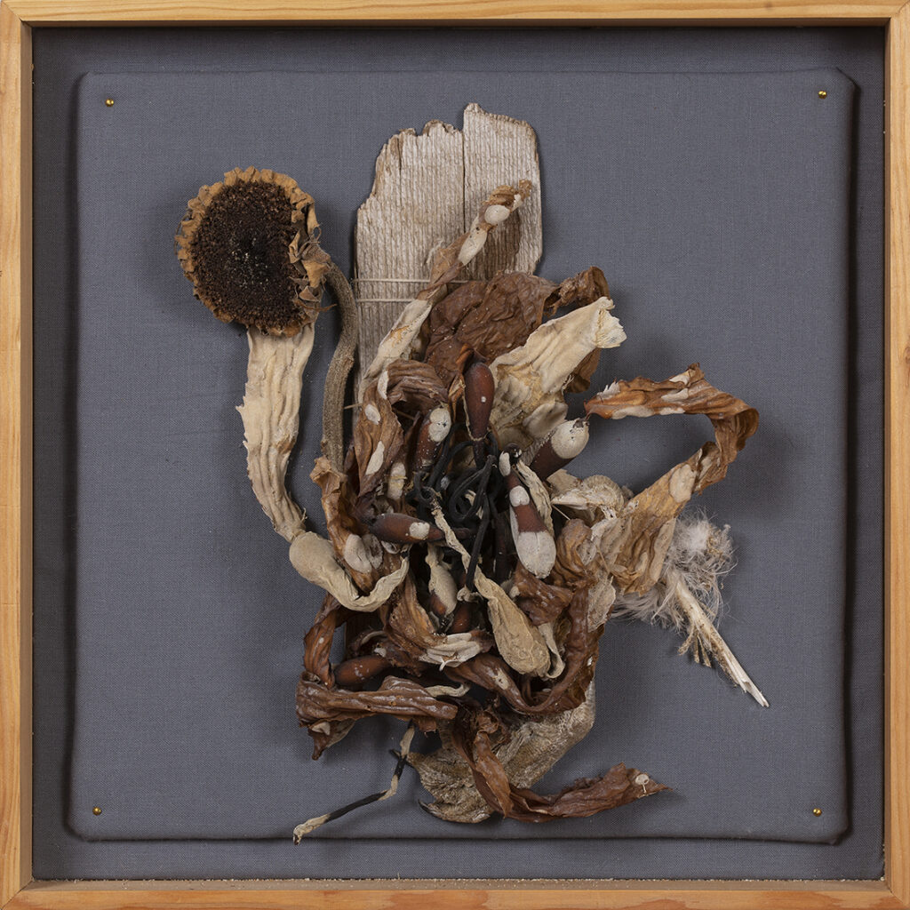 New Mexico Cancer Center, Gallery With A Cause, Pacific Ocean Quartet I