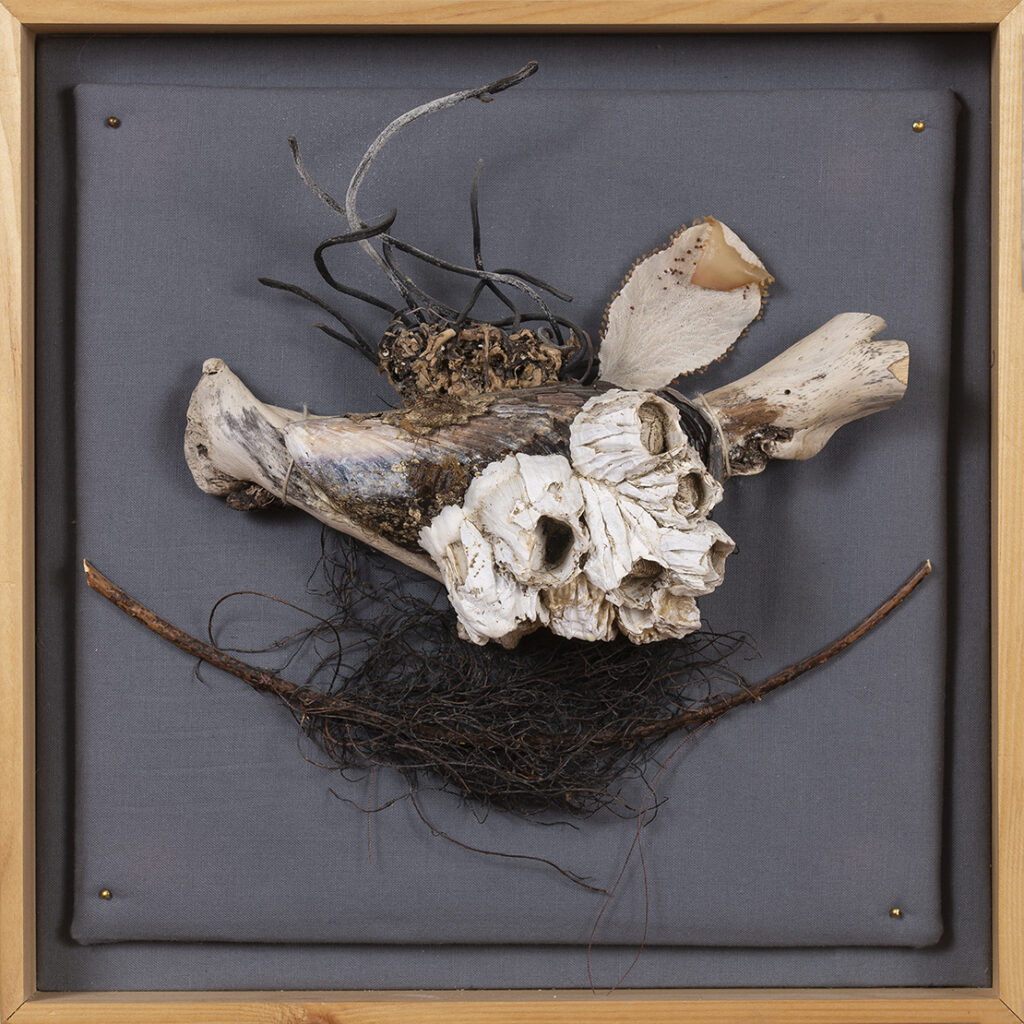 New Mexico Cancer Center, Gallery With A Cause, Pacific Ocean Quartet II