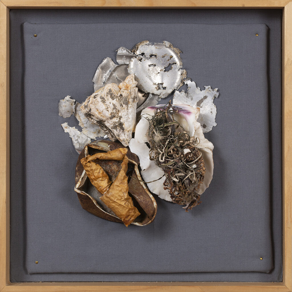 New Mexico Cancer Center, Gallery With A Cause, Pacific Ocean Quartet IIIV