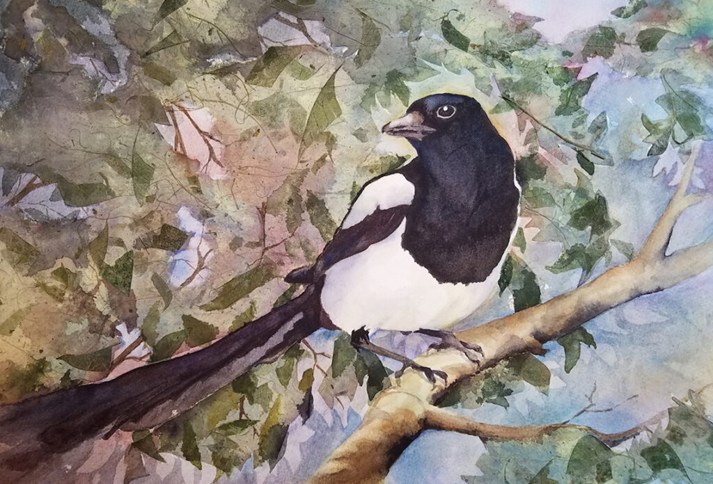 New Mexico Cancer Center, Gallery With A Cause, Pica Pica