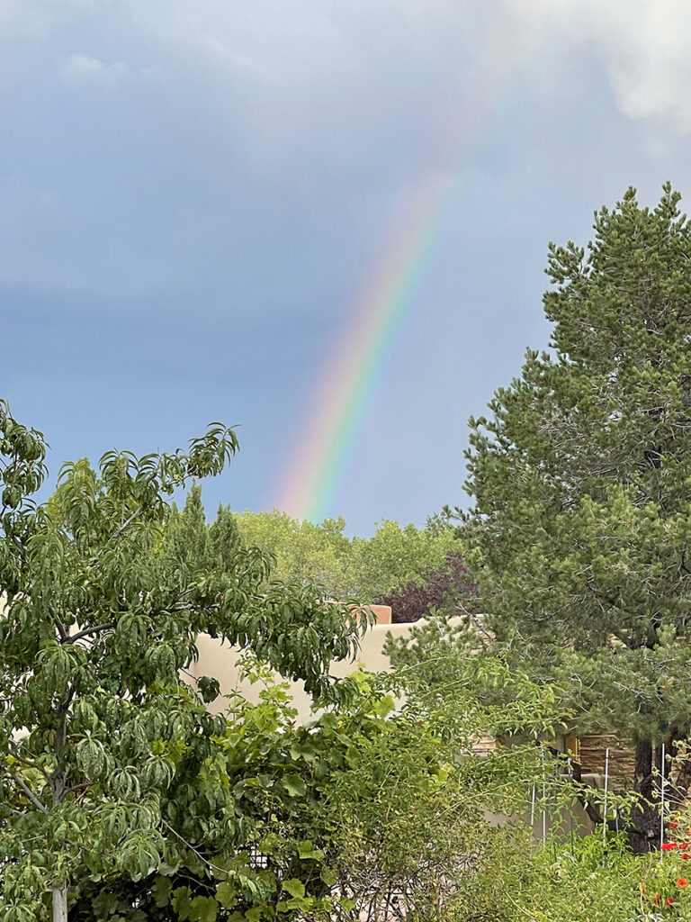New Mexico Cancer Center, Gallery With A Cause, Rainbow