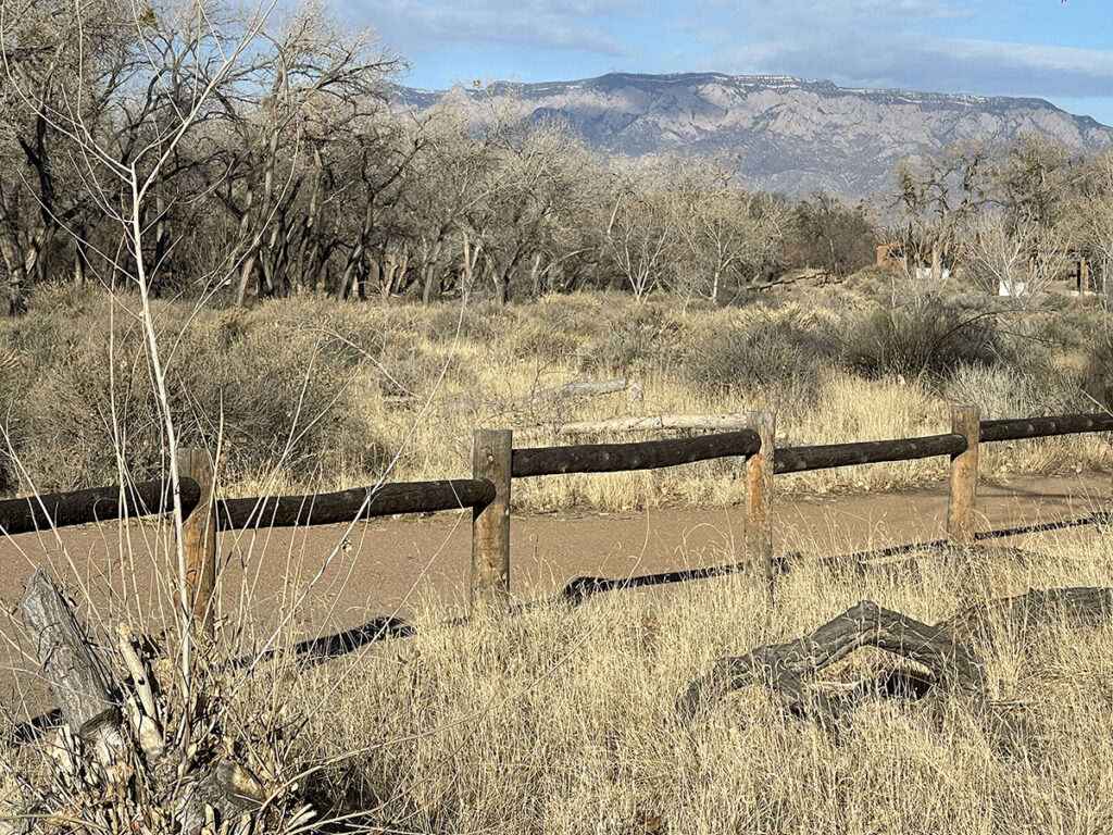 New Mexico Cancer Center, Gallery With A Cause, Sandias and Bosque