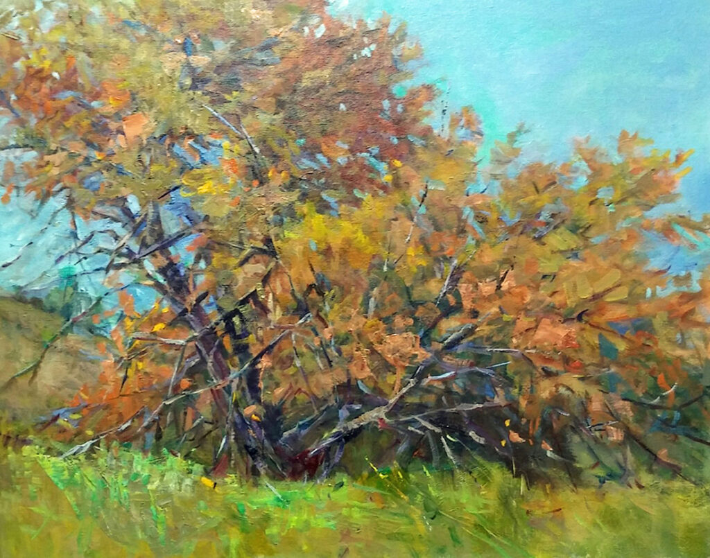New Mexico Cancer Center, Gallery With A Cause, Showing Off