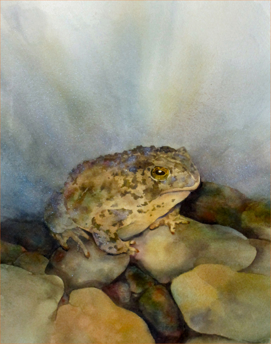 New Mexico Cancer Center, Gallery With A Cause, Spade Foot Toad
