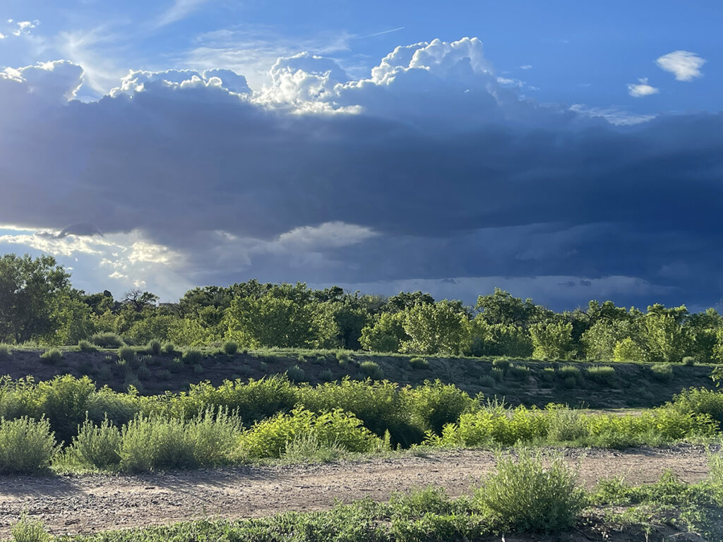 New Mexico Cancer Center, Gallery With A Cause, Spring Storm
