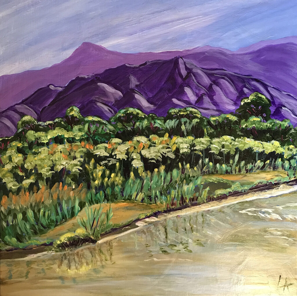 New Mexico Cancer Center, Gallery With A Cause, Summer on the River