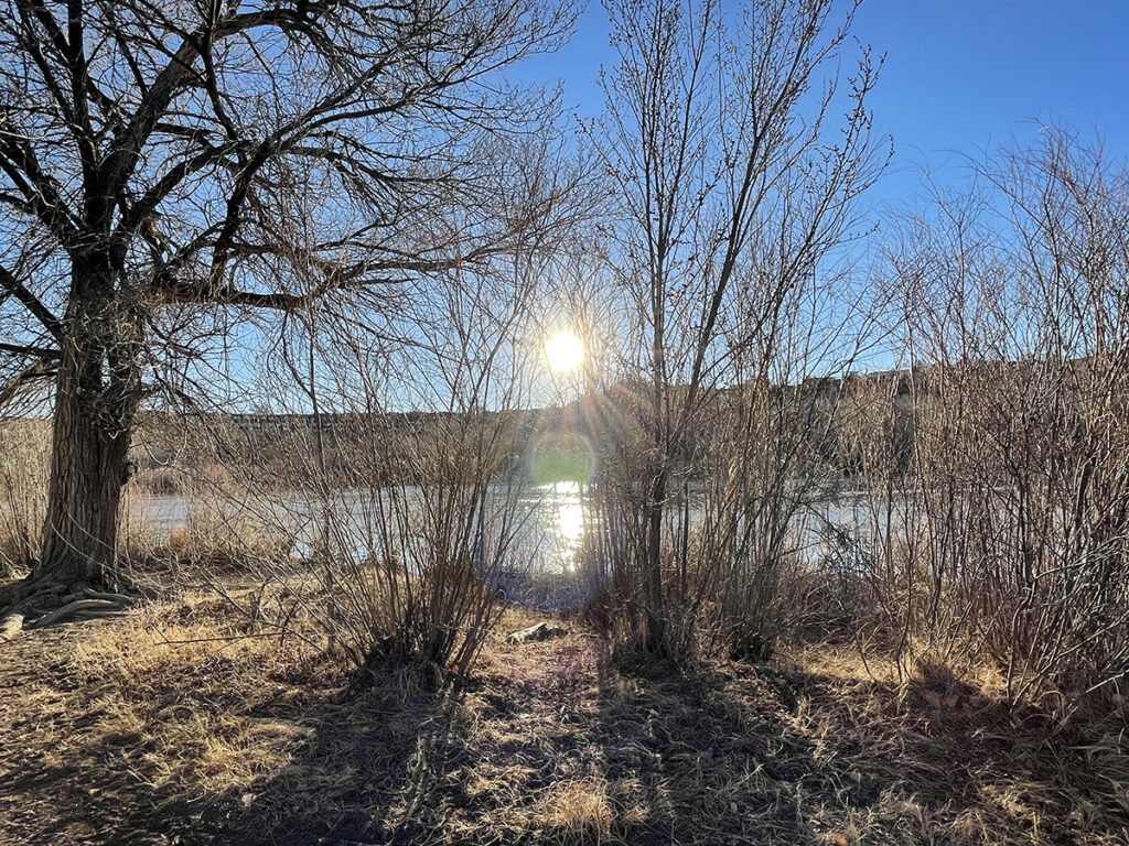 New Mexico Cancer Center, Gallery With A Cause, Sun Over the Rio Grande