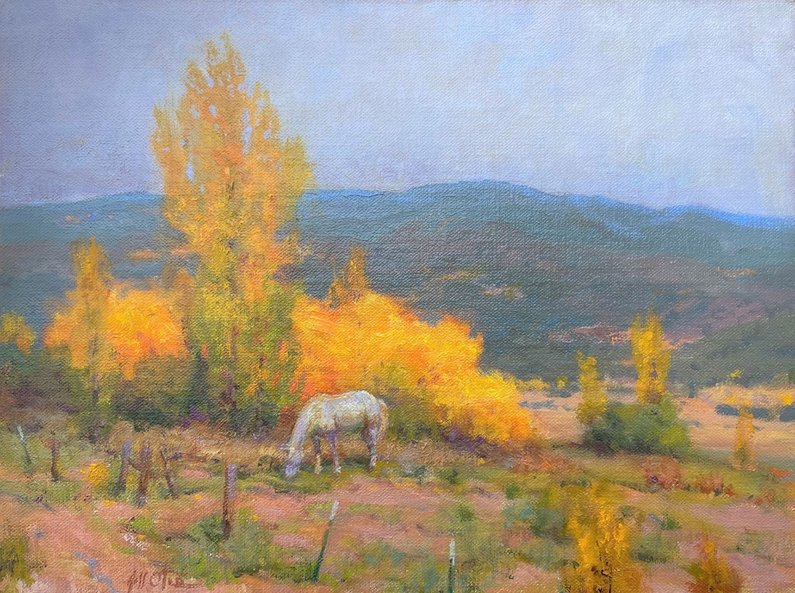 New Mexico Cancer Center, Gallery With A Cause, White Horse at La Jara