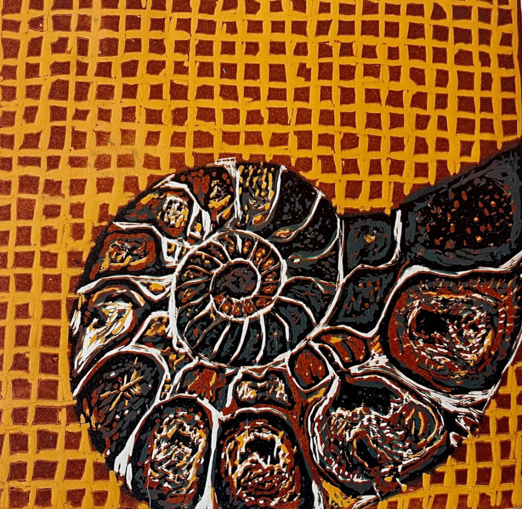 New Mexico Cancer Center, Gallery With A Cause, Ammonite Fossil