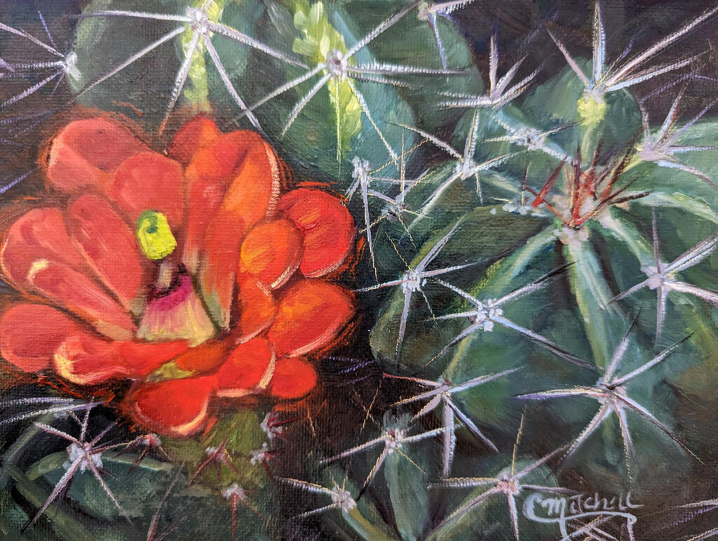 New Mexico Cancer Center, Gallery With A Cause, Claret Cup