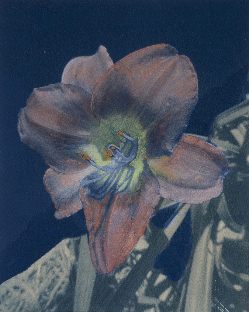 New Mexico Cancer Center, Gallery With A Cause, Day Lily III