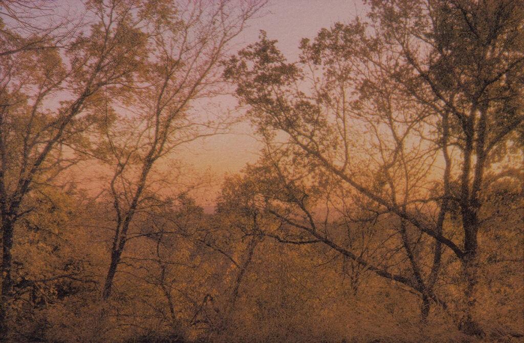 New Mexico Cancer Center, Gallery With A Cause, Evening Hike