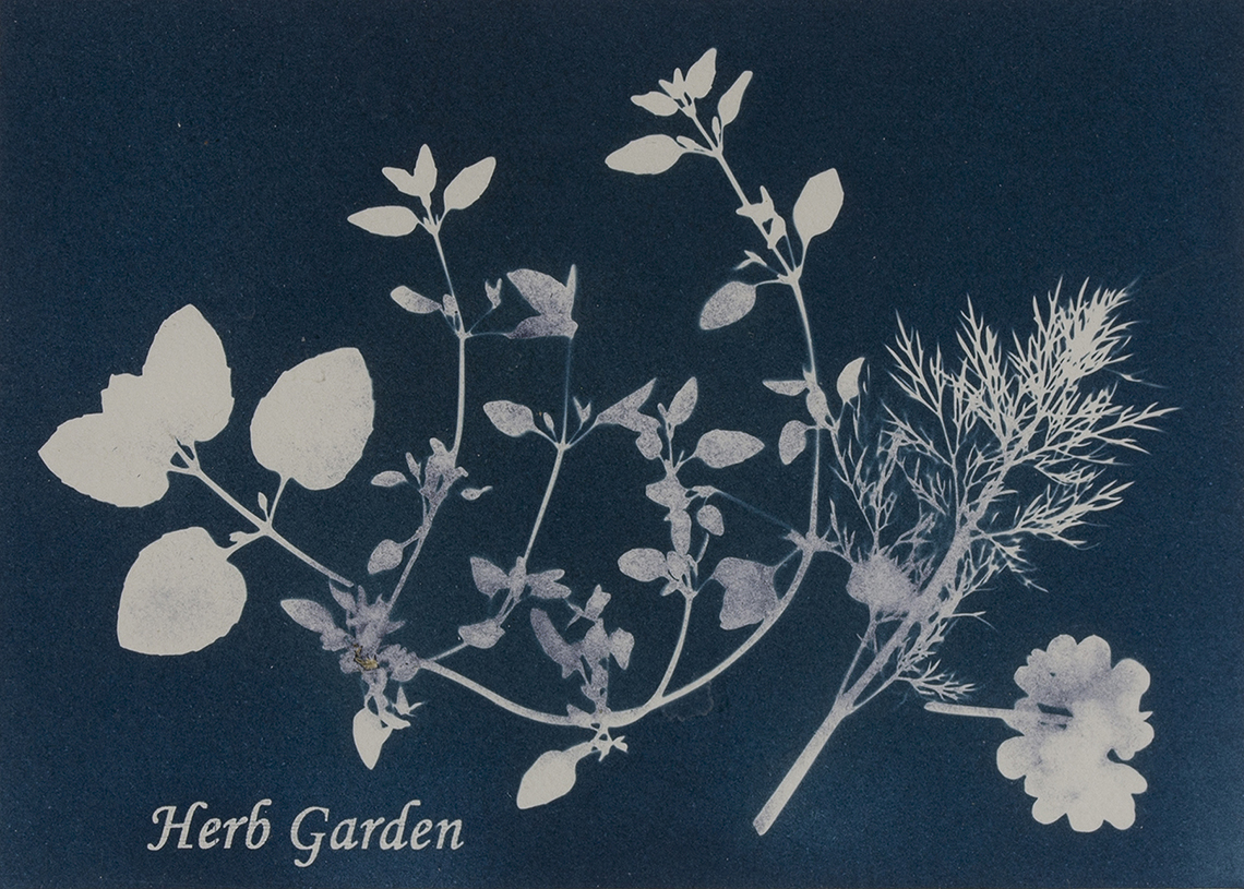 New Mexico Cancer Center, Gallery With A Cause, Herb Garden
