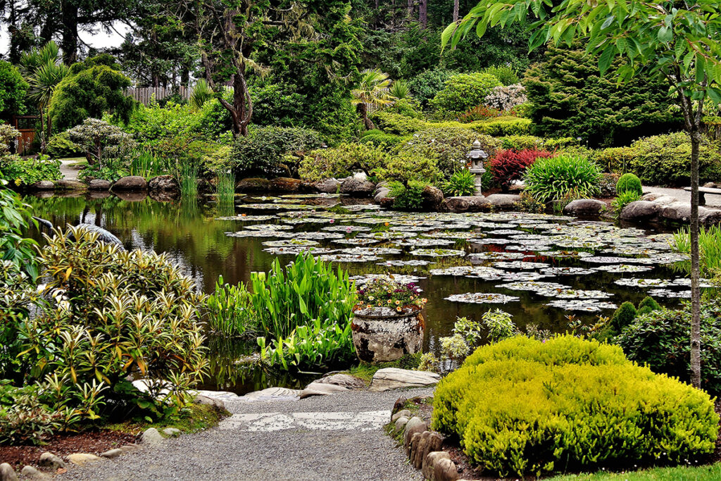 New Mexico Cancer Center, Gallery With A Cause, Japanese Garden