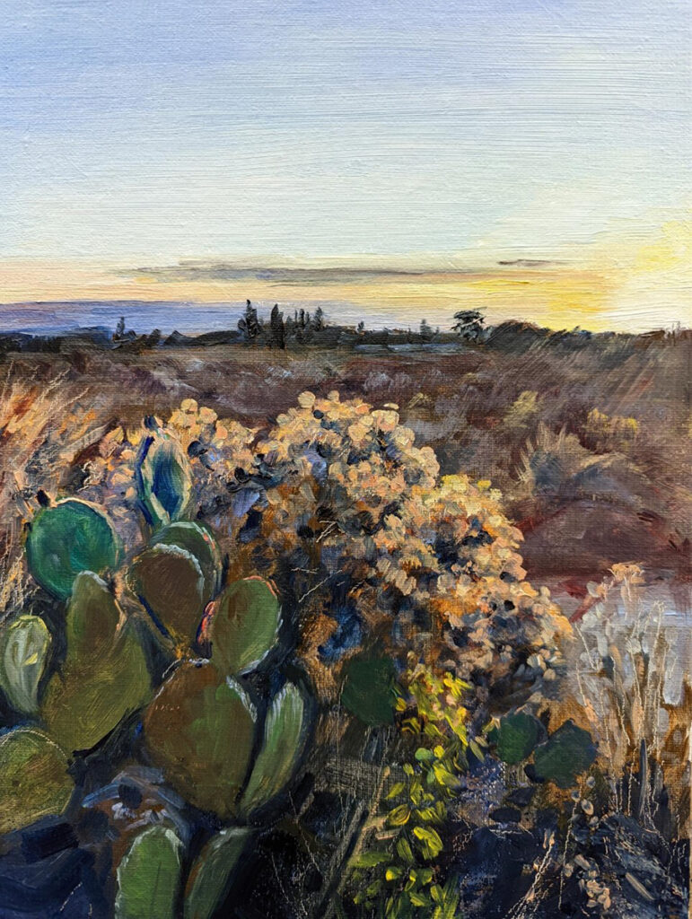 New Mexico Cancer Center, Gallery With A Cause, Summer Evening Walk