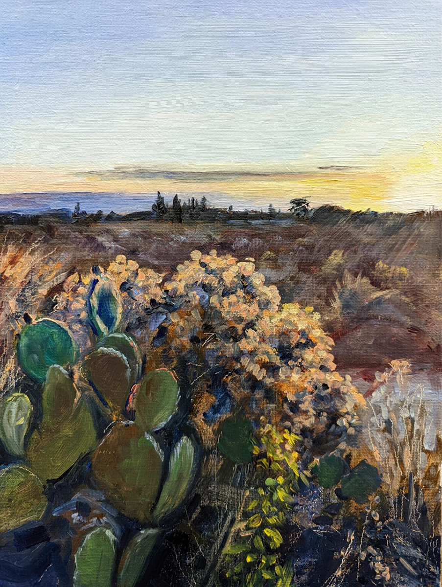 New Mexico Cancer Center, Gallery With A Cause, Summer Evening Walk
