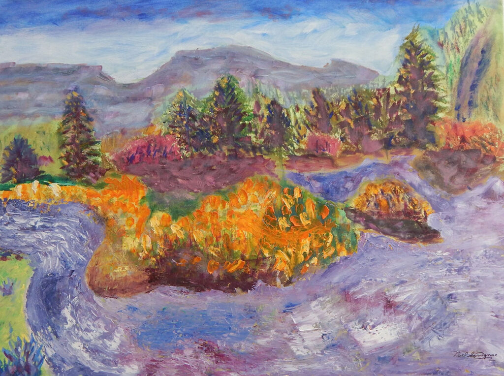 New Mexico Cancer Center, Gallery With A Cause, White Water Stream