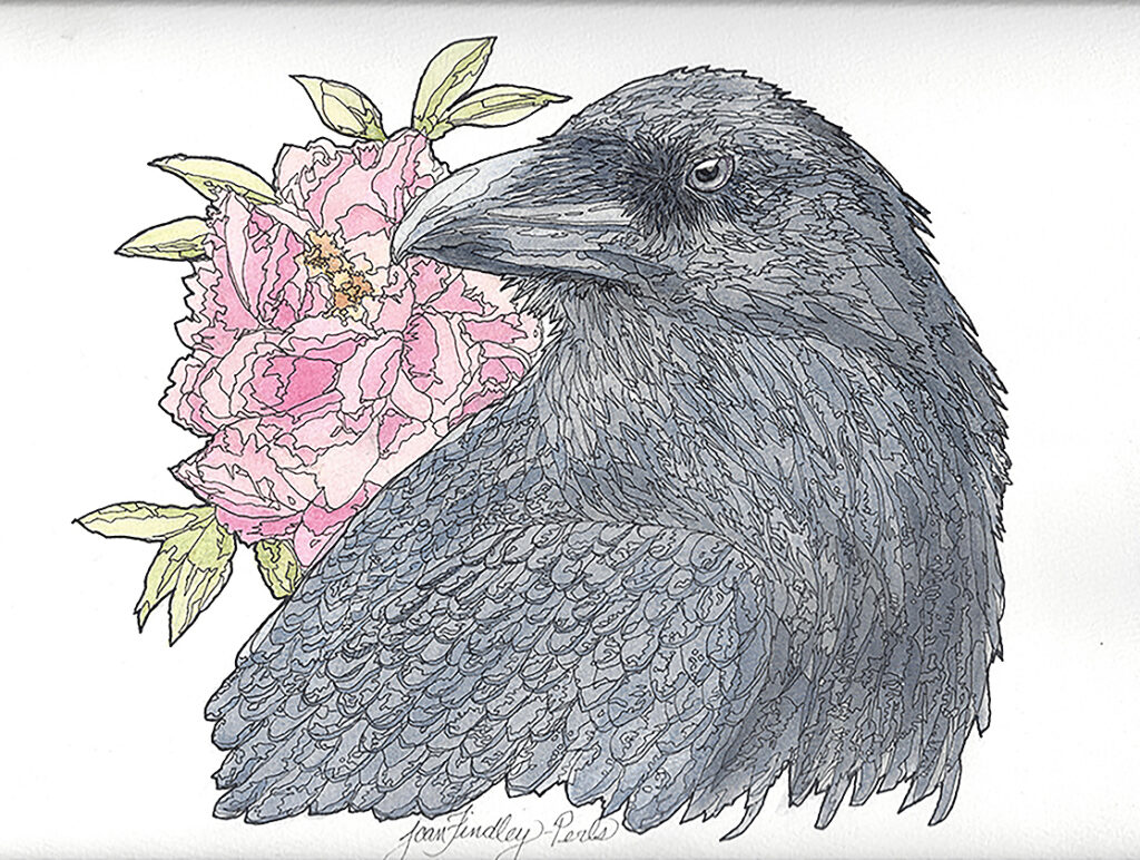 Among the Peonies