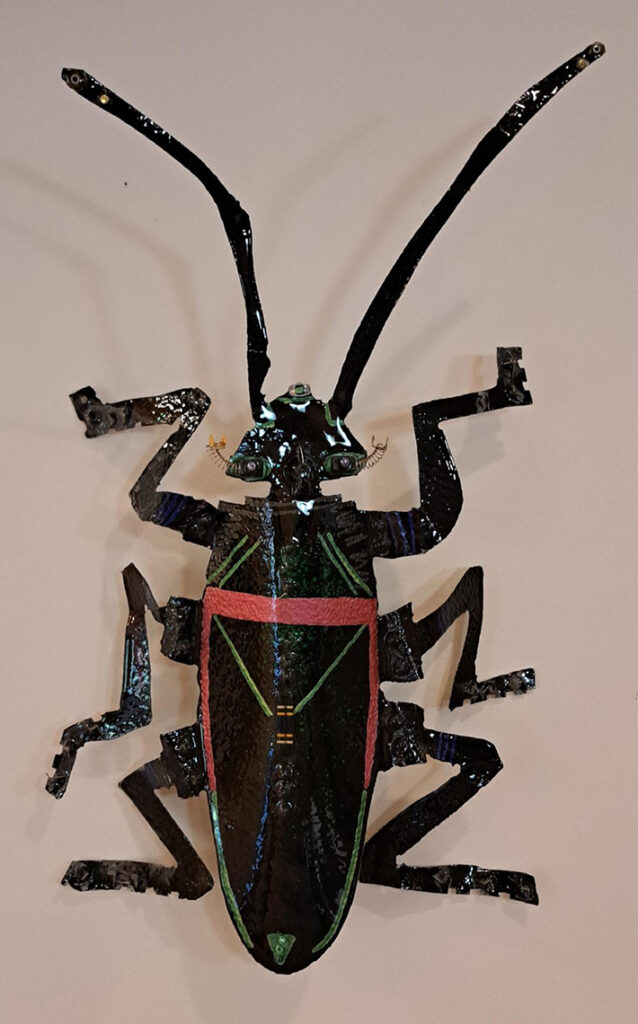 Black Beetle
