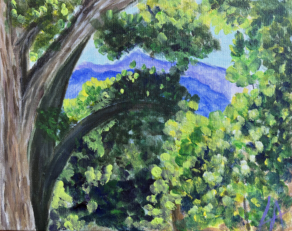 Bosque View
