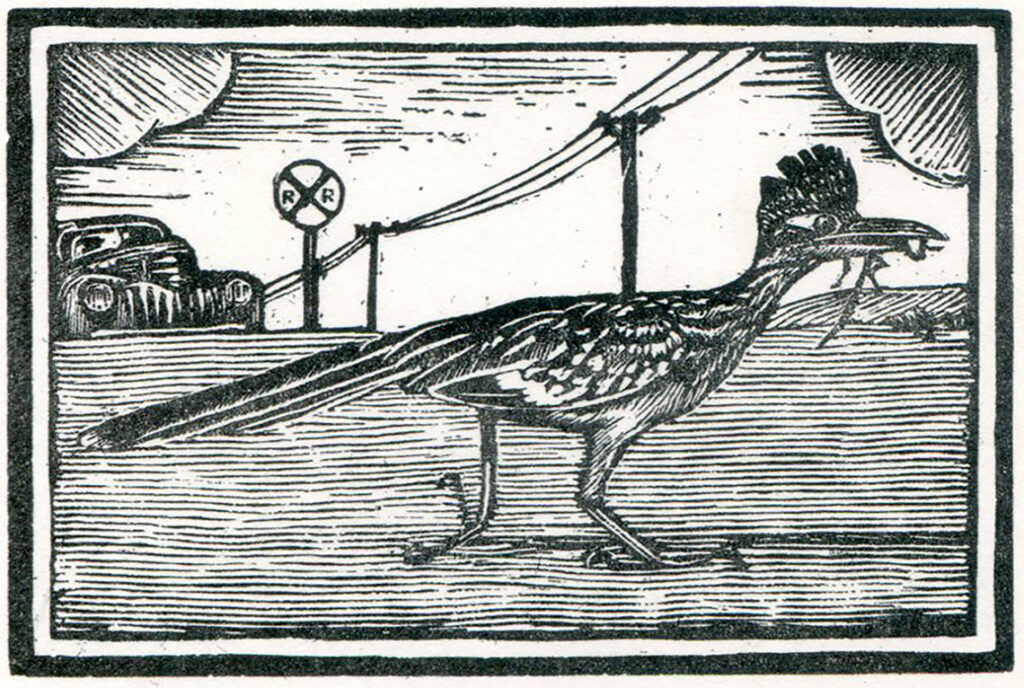 Correcaminos