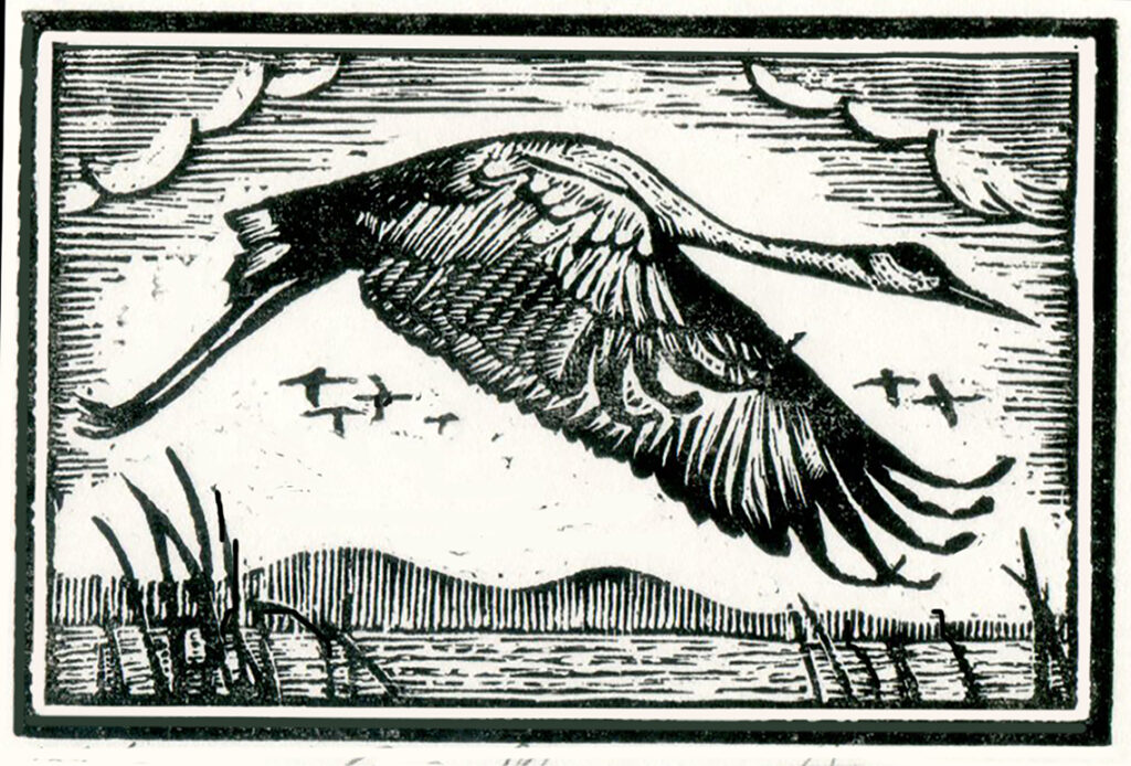 Grulla